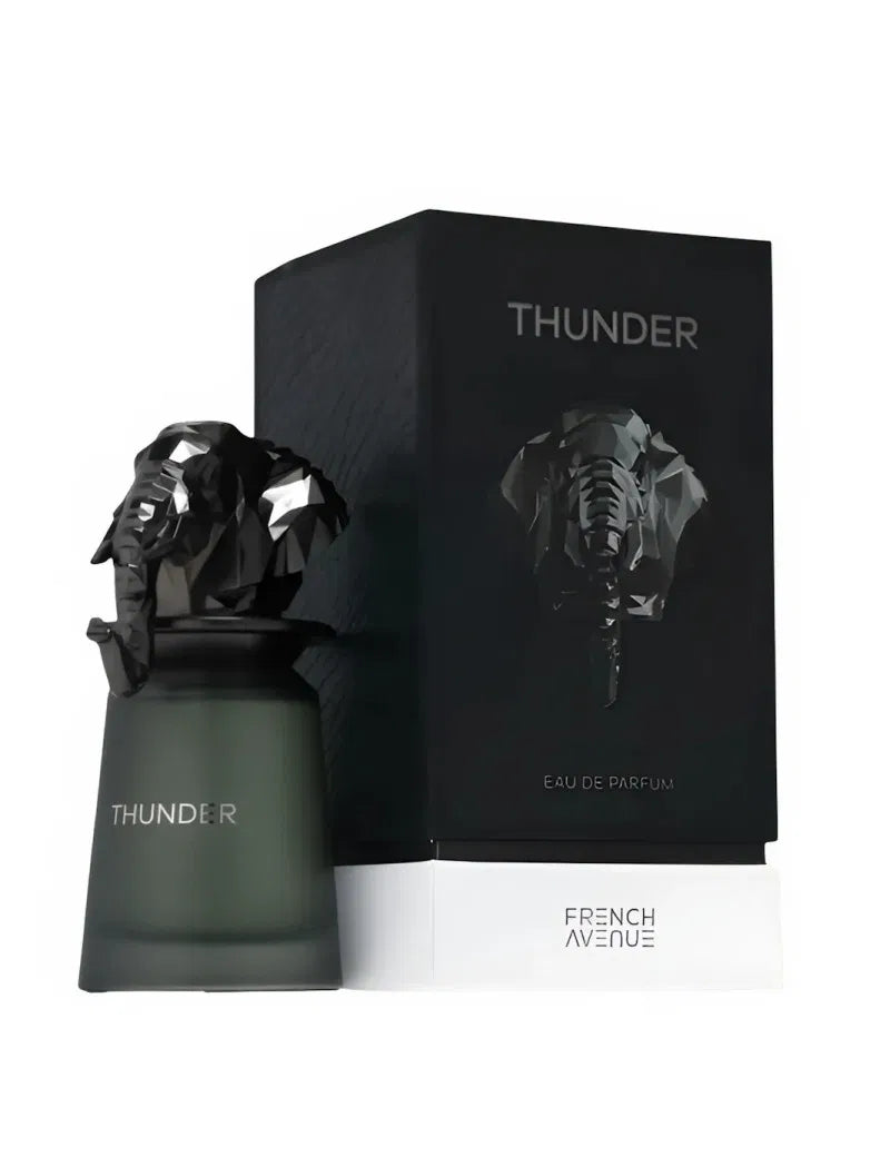 French Avenue Thunder 100ml - profumo uomo